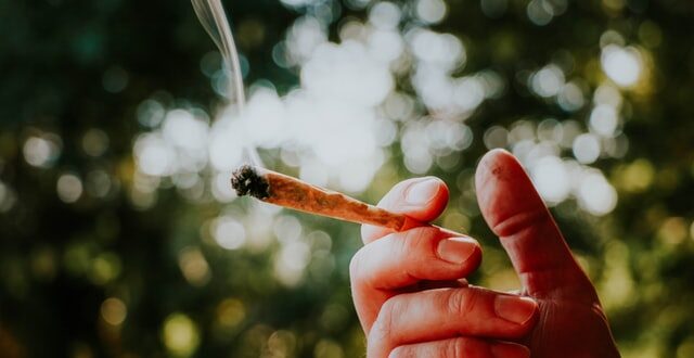 joint