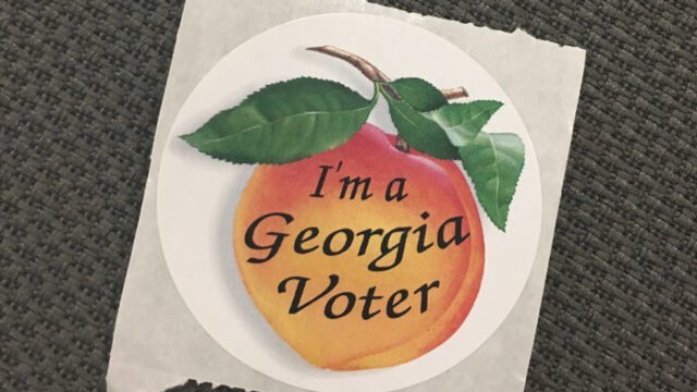 Georgia voters at the polls