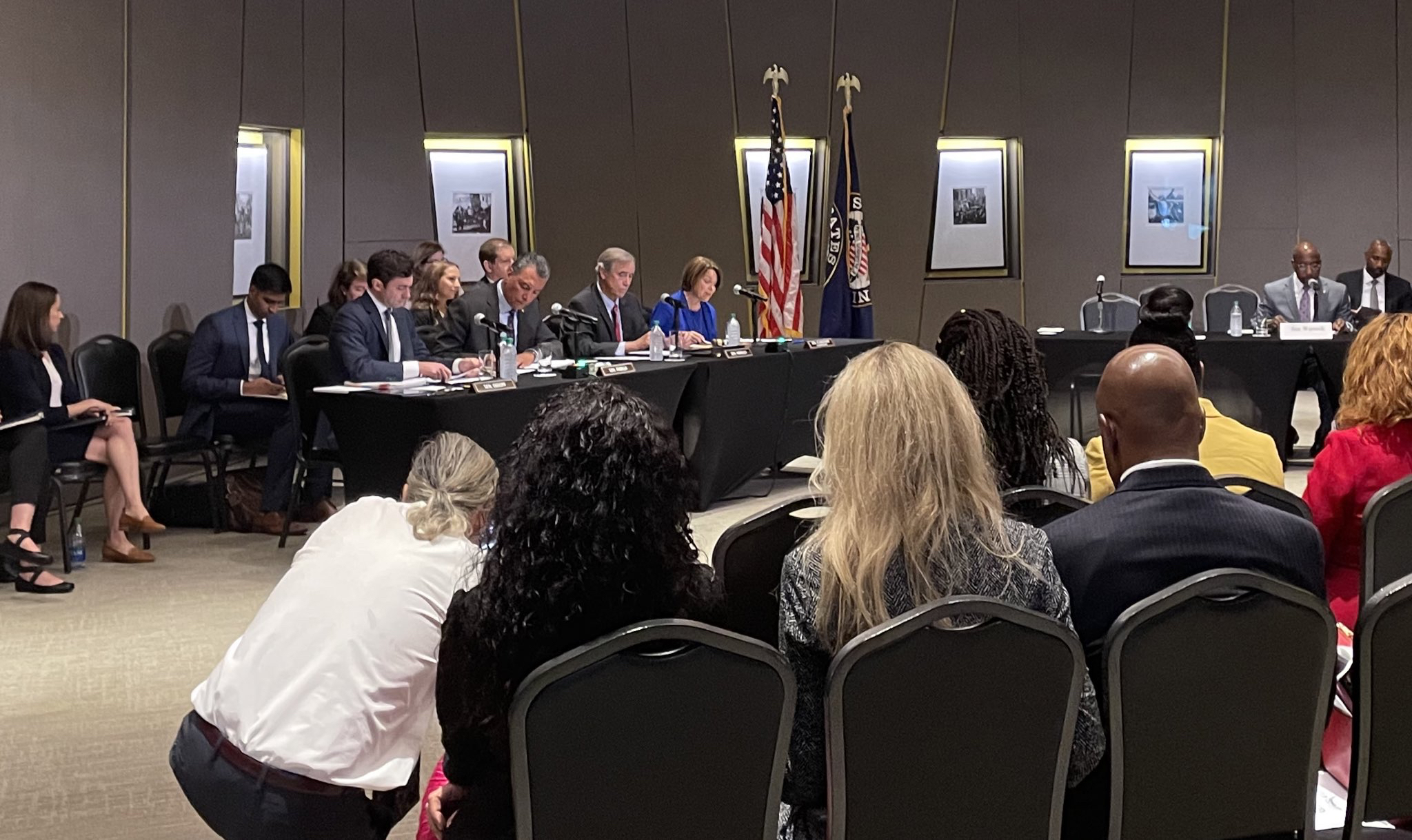 Democrats hearing in Georgia
