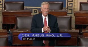 Senator Angus King