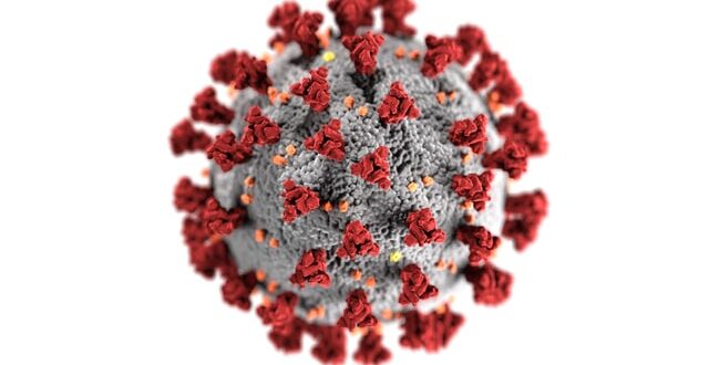 coronavirus