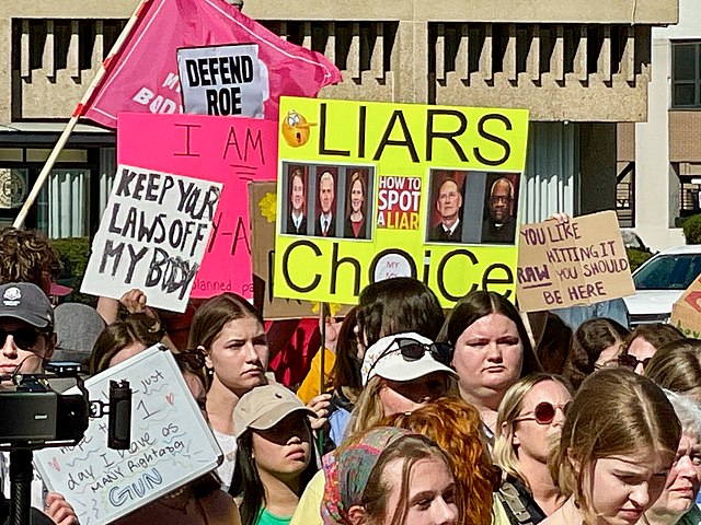 Defend_Roe_v_Wade_0015_(52062165920) - Poli Alert Roe v. wade march