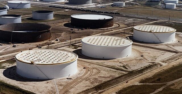 strategic petroleum reserve