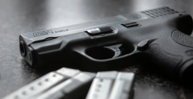 handgun