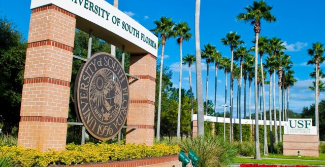 University of South Florida