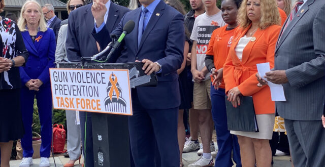 gun violence prevention task force