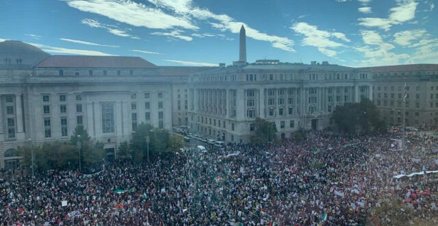 pro-palestine protest