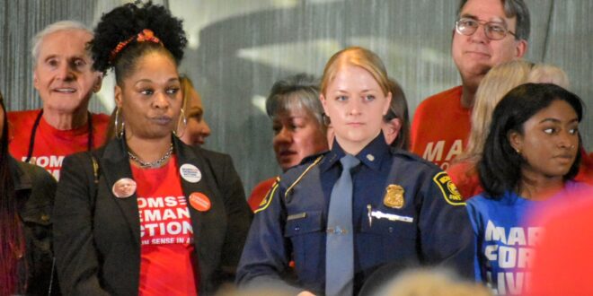 Several new gun laws concerning storage, possession and purchasing firearms go into effect Tuesday in Michigan.