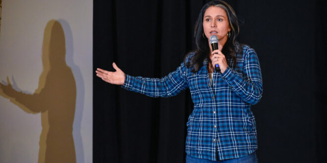 Tulsi Gabbard