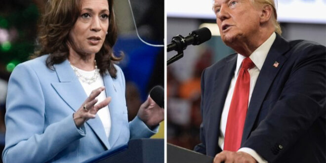 President Donald Trump, Vice President Kamala Harris