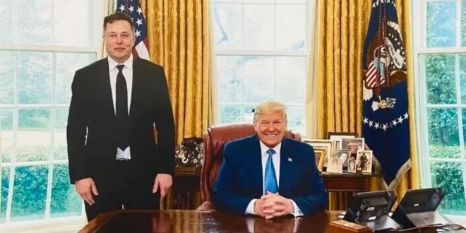 Elon Musk and President Donald Trump