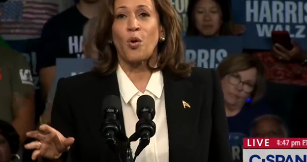 Vice President Kamala Harris