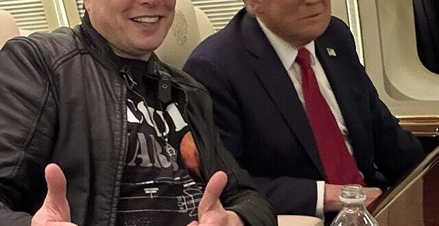 Elon Musk and President Donald Trump
