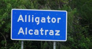 Alligator Alcatraz