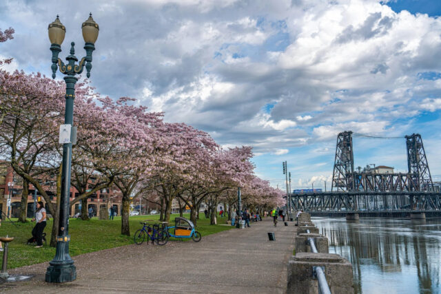portland - Poli Alert Portland, Oregon