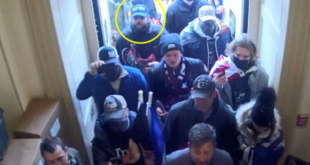 Taylor Taranto - Poli Alert Taylor Taranto