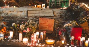 Alex Pretti memorial