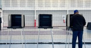 Man in a blue cap votes at a row of polling booths inside a large room, with protective netting in the foreground.