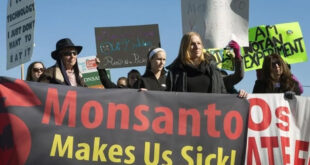 Monsanto protest