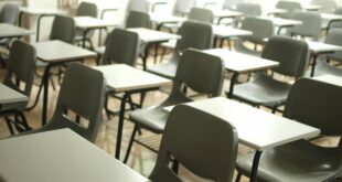 Empty classroom with rows of gray desks and chairs, sunlight by the windows at the back.