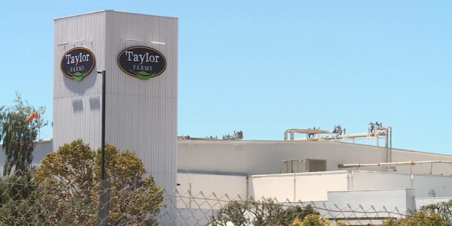 Taylor Farms facility sign on a tall corrugated metal tower against a blue sky.