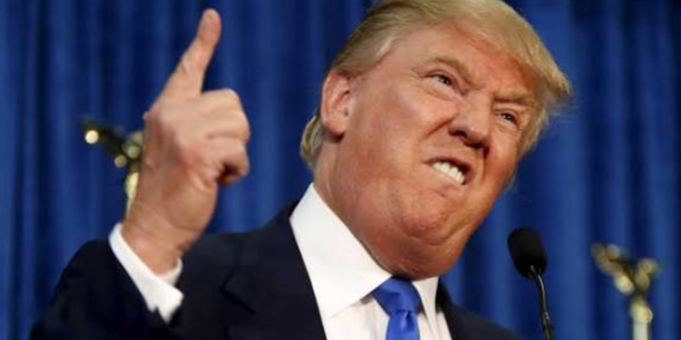 Trump crypto lawsuit