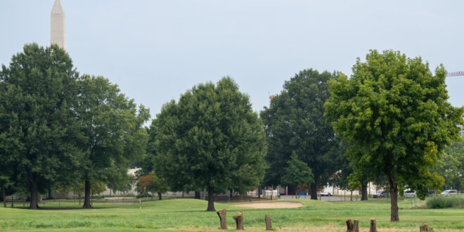 East Potomac Golf Links